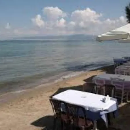By The * Νέοι Επιβάτες